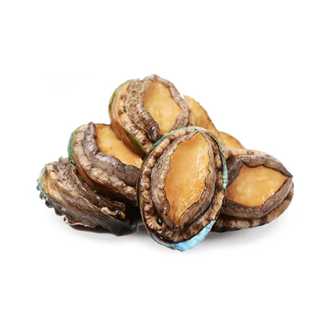 Bào Ngư Tươi
