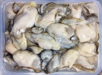 Hàu bịch (500gr luôn nước)
